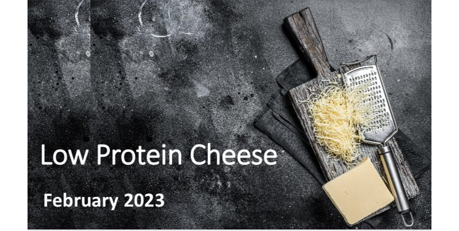Low Protein Cheese 2023
